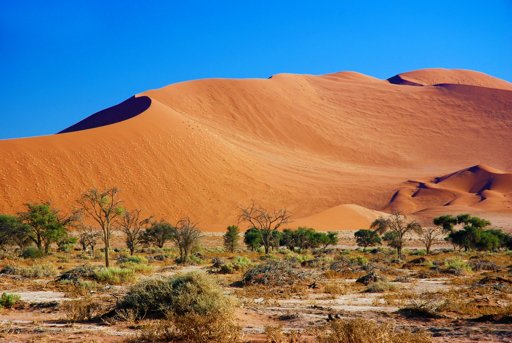 10 Incredible Things to Do in Namibia (for Families)
