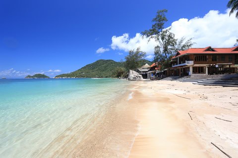 Sairee Beach on Koh Tao with clear turquoise water and palm-lined shoreline