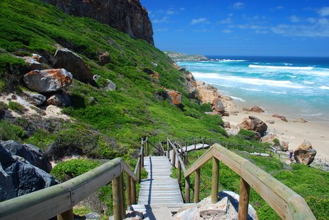 Coastal hiking trail and ocean views at Robberg Marine Protected Area in Plettenberg Bay