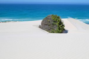 White sand dunes and coastline at De Hoop Nature Reserve South Africa
