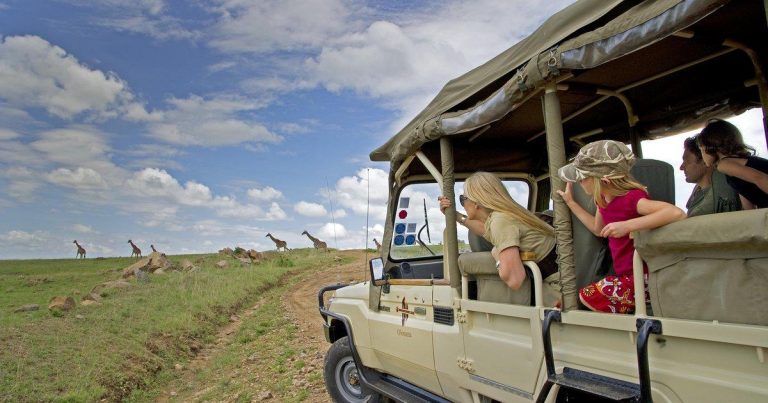 African Safari Adventures Worth Planning Right