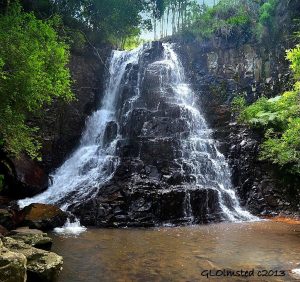 Misty forest and waterfall in Hogsback, Eastern Cape South Africa
