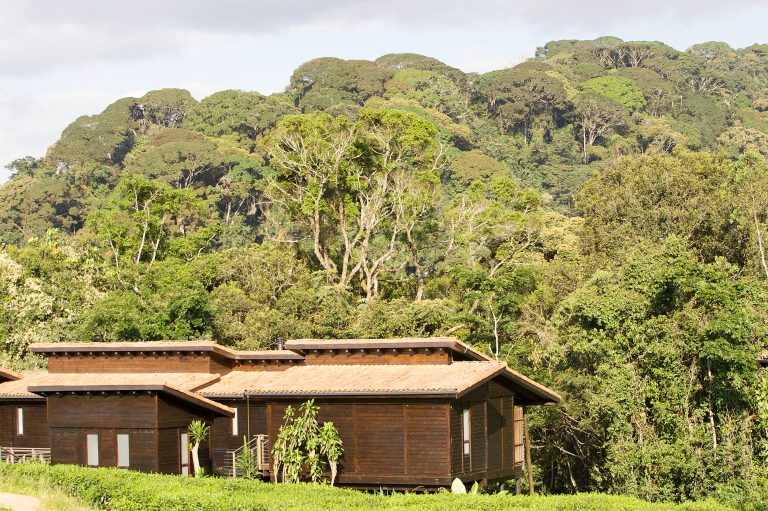 Is Rwanda Safe for Travelers? What to Know