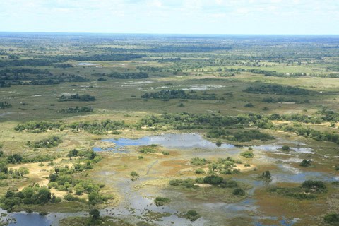 Rwanda Safari Cost Breakdown for 2026