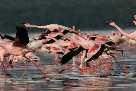 Namibia National Parks Worth Your Time