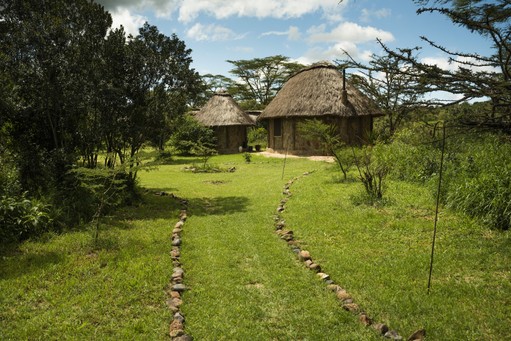 10 Best Safari Lodges Rwanda Has for 2026