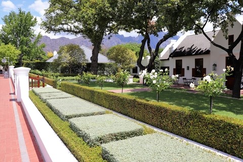 South African Winelands for Curious Travelers